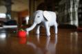 ゾウさんとリンゴ。