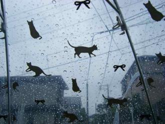猫の傘