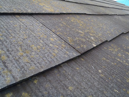 01．北面コロニアル屋根の苔・藻の発生