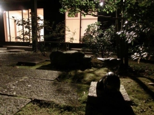 夜の庭