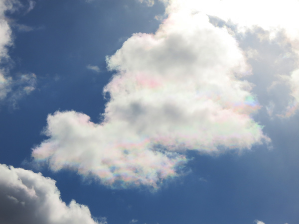 彩雲（さいうん）　札幌　虹のような雲