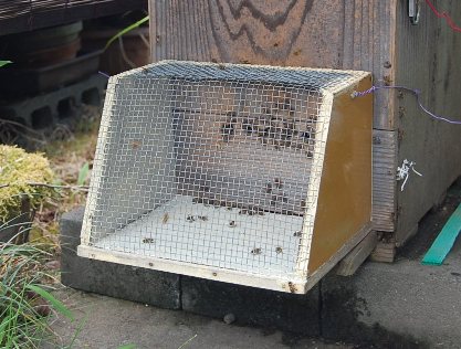 スズメバチ予防器