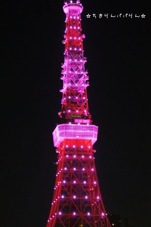 ピンクライトアップ東京タワー②