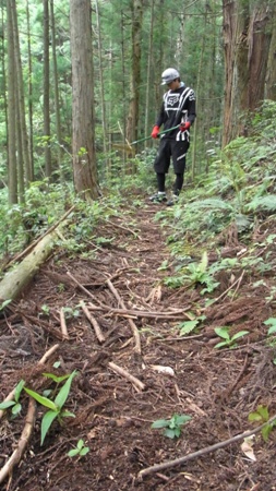 kazuki-trail-sweep.jpg