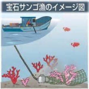 中国漁船は日本の領海へ入り、資源の保護は眼中になく、違法な乱獲を行っている。