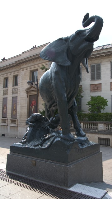 オルセー美術館の彫像：「罠にかけられた若い象」