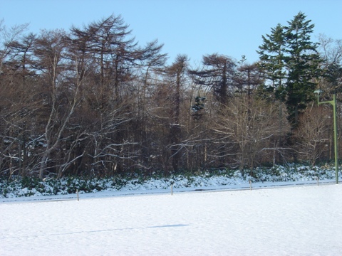 冬晴れ職場地方01(2010.12.01)