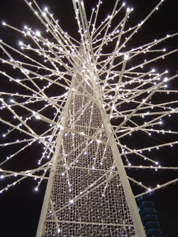 クリスマス市のツリー(2010.12.05)