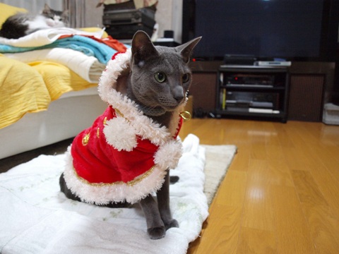 クリスマス・コス06(2010.12.24)