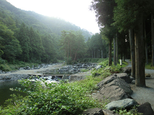 サイト脇の渓流