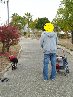 家族で散歩
