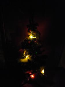 AMクリスマスツリー014