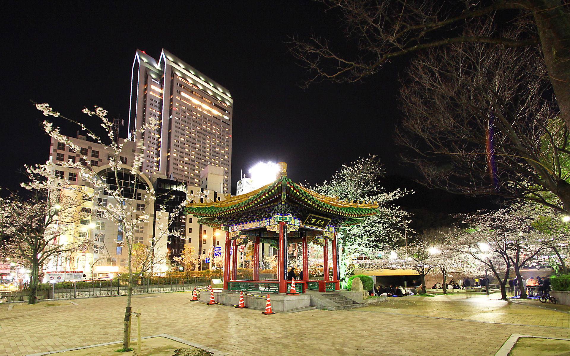 生田川公園の夜桜・生田川の桜並木のライトアップ