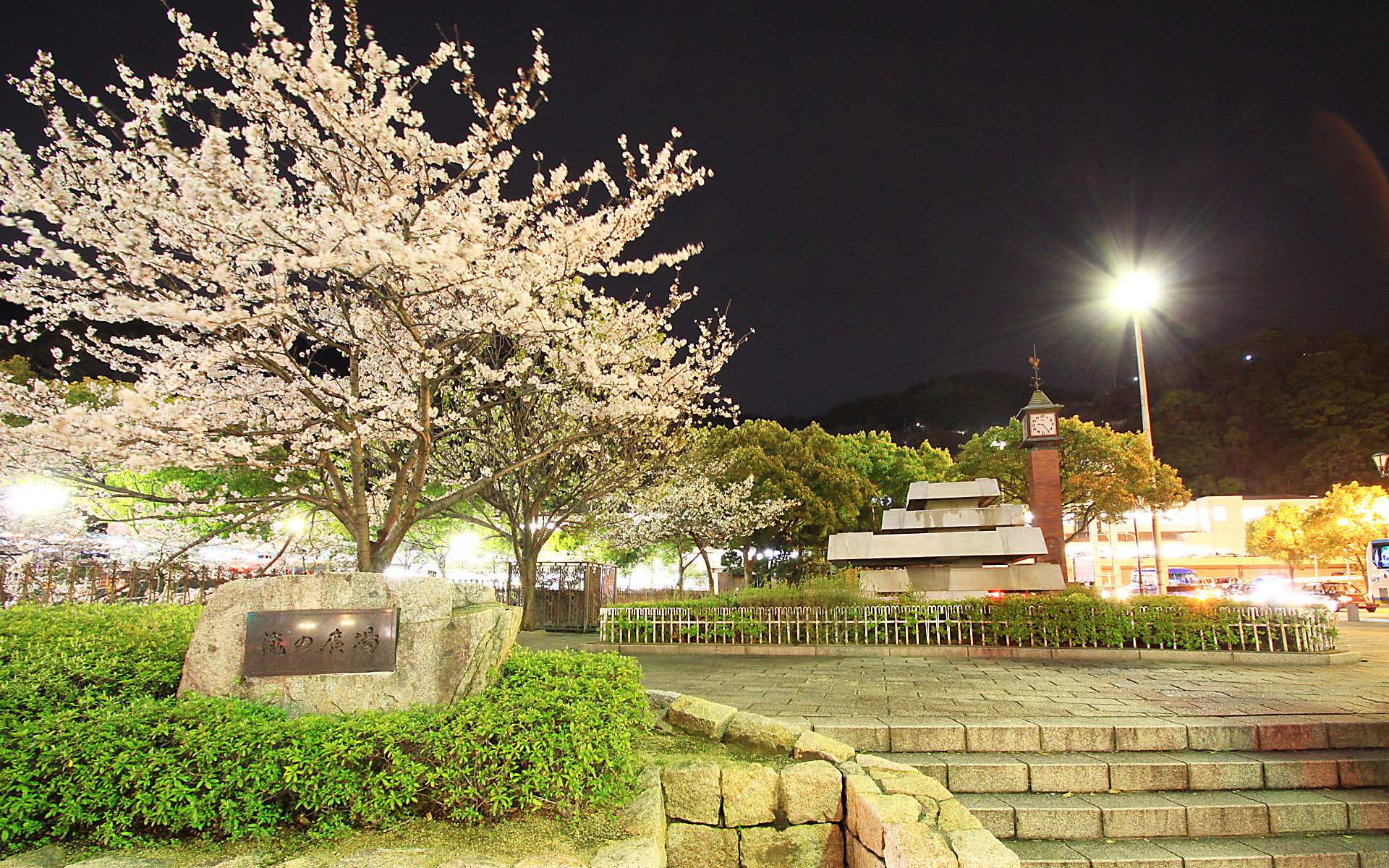 生田川公園の夜桜・生田川の桜並木のライトアップ