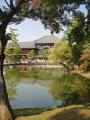 奈良公園より東大寺を望む