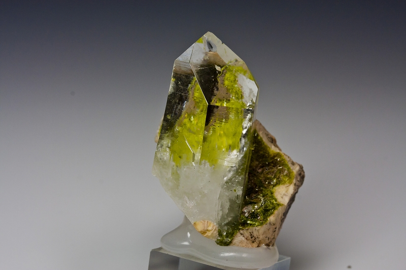 Mineral Trip 鉱物好きのブログ 65 水晶 Quartz with Epidote 第21回東京ミネラルショー 2012 池袋