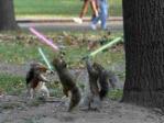 squirrels_with_lightsabers_01.jpg
