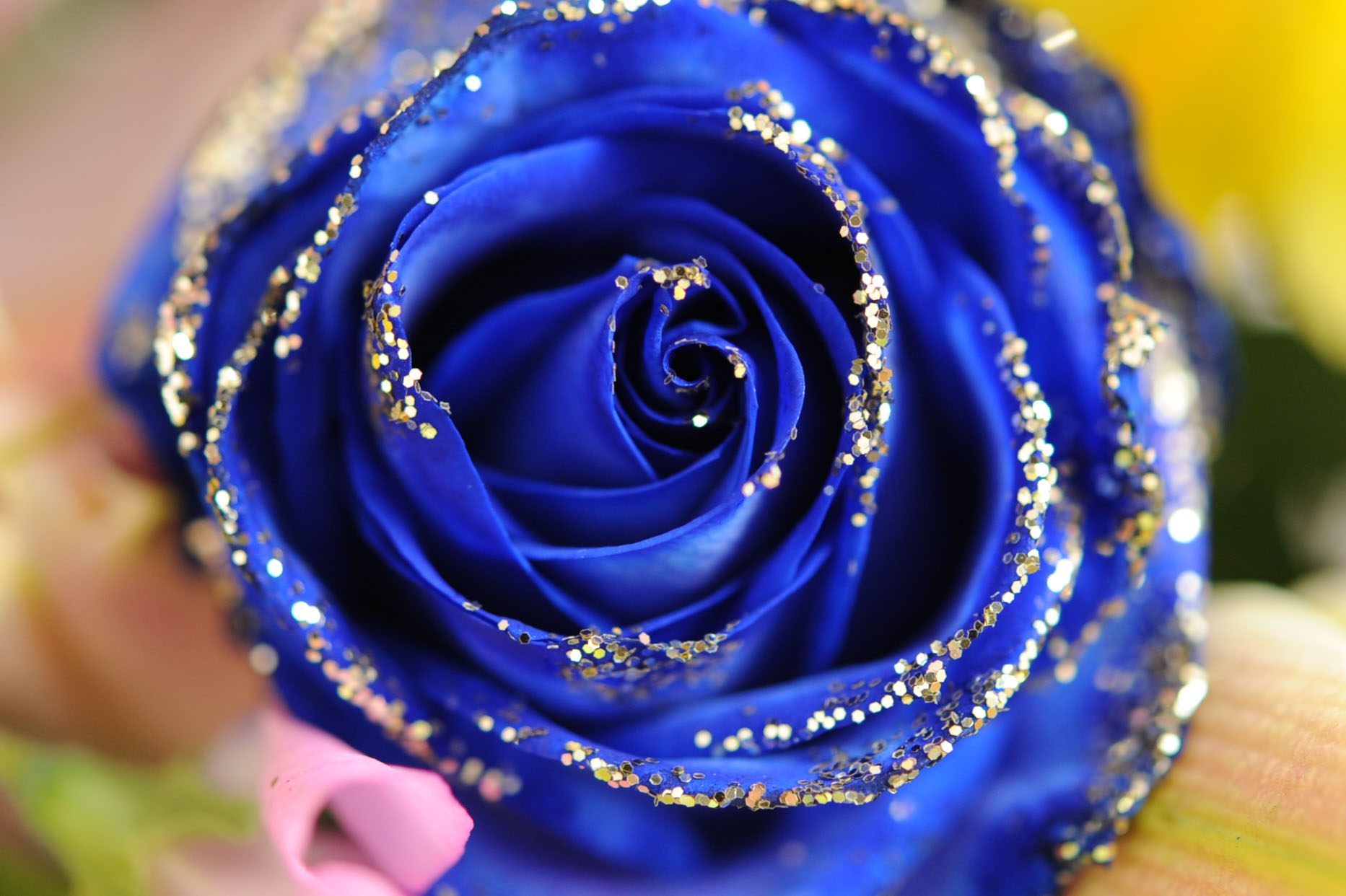 青色 の バラ 花 言葉