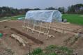 夏野菜の苗植えと簡易式ビニールテントの組み立て