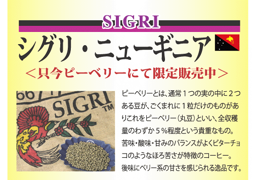 sigri_p_info01[1]
