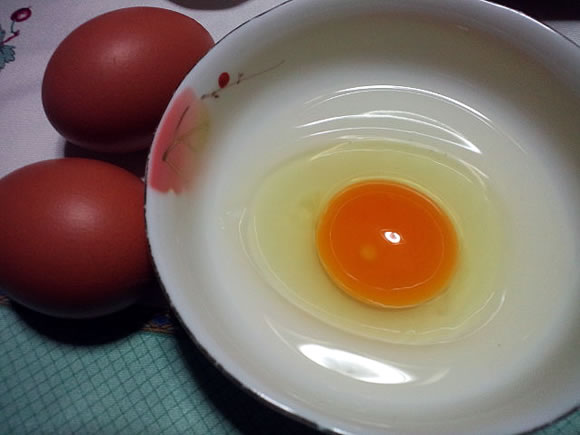 egg_iwamoto130206.jpg