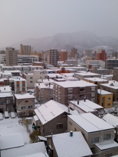 朝の雪