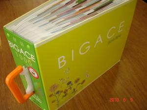 シンコール　壁紙コーディネート集「BIGACE1000 2010-2012」