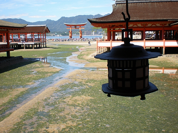 itsukushima2.jpg