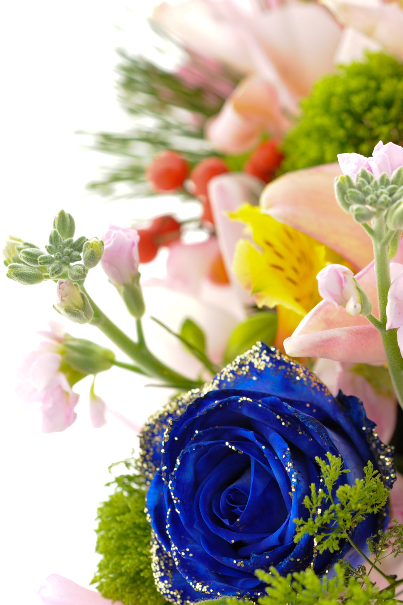 青いバラの花言葉は 奇跡 夢 かなう 不可能 有り得ない フリー画像 Photo 写真