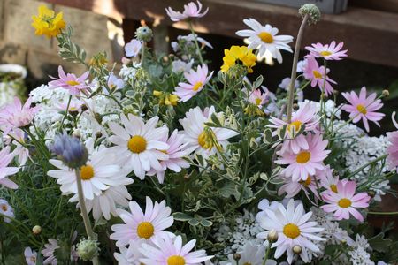T’s Garden Healing Flowers‐春のパステル色