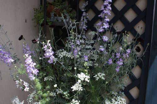 T’s Garden Healing Flowers‐初夏の寄せ植え