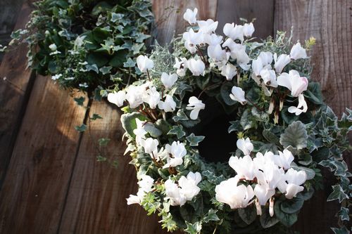 T’s Garden Healing Flowers‐二つの白いリング