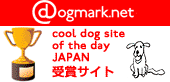 dogmark netへ受賞を見に行く